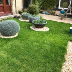 Techniques de taille pour maintenir un jardin esthétique et en bonne santé Mâcon